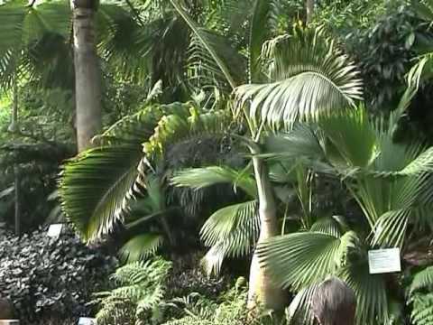 the eden project biomes				